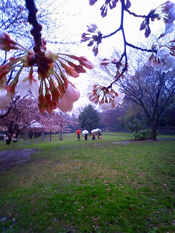 ウォーキング2010.03.25.jpg