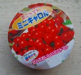 ミニキャロル2010.04.14.jpg