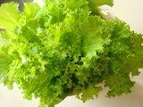 山東菜収穫2010.03.16.jpg