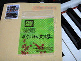 辛味ダイコン2013.09.11.