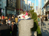 ねこ2011.12.23.