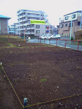 畑アップ