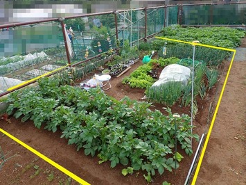 ��̱����2018.04.26