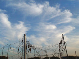 秋2010.08.29.jpg