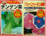 チンゲンサイ朝顔.03.04.