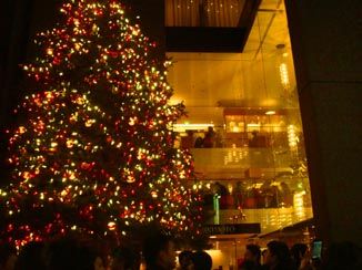 クリスマス2011.12.23.