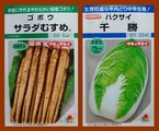 サラダむすめ2012.08.10