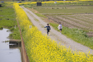 ��宴����障��������mochu2010.04.25