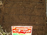 ベーターリッチ種蒔き2012.07.25