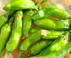 板屋シシトウ2010.08.26.jpg