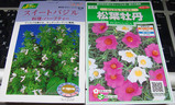 ¥Ð¥¸¥ë¼ï09.02.07.jpg