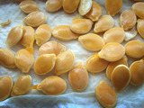 ET自家採種2010.08.22.jpg