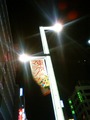 東京マラソン2011.02.20.