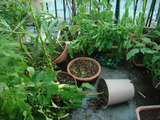 ÈÅݤµ¤ì¤¿2011.09.22