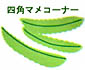 四角マメコーナー