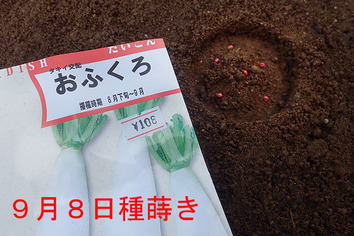 ���դ����纬2018.09.08