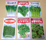 種購入10.24