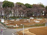 2010.03.23.区民農園.jpg