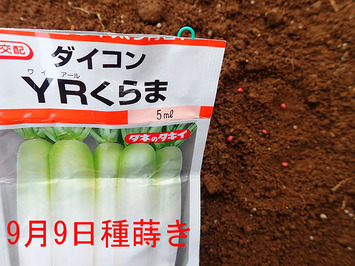 YR����m2018.09.09