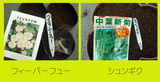 フィーバーフューシュンギク2012.10.06