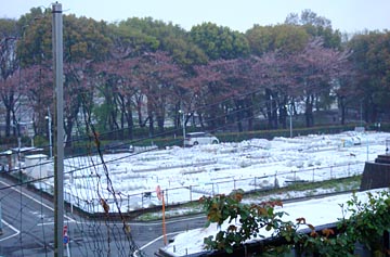 雪区民農園2010.04.17.jpg