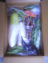 送る野菜