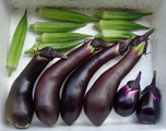 収穫2010.09.09.jpg
