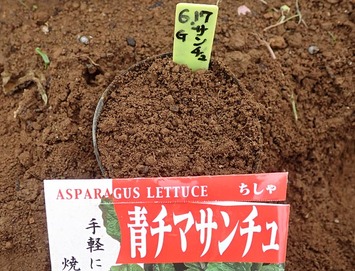 �������G2018.06.17