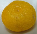 柚子2011.12.22.