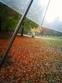 60分ウォーキング2011.11.19..