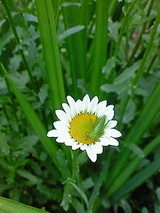 963456bf.jpg