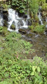 61f66d50.jpg