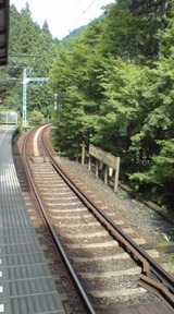 d70d3595.jpg