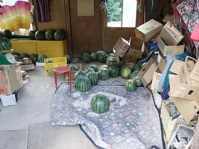 DSC07670
