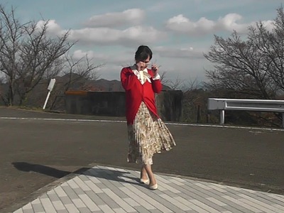 s1700004.mp4_000008804(2)