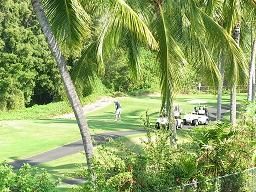 blog hawaii