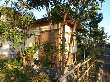 blog5