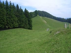 blog7