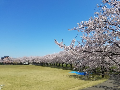 20190418_100053