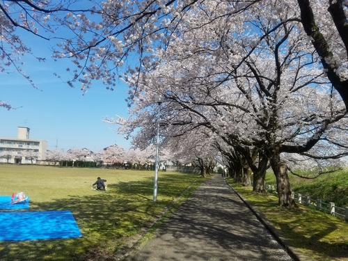 20190418_100550