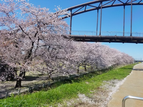20190420_121510