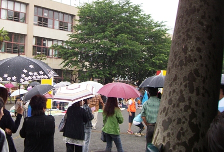 雨
