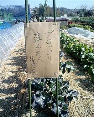 【日常】おい!野菜泥棒に告ぐ!!