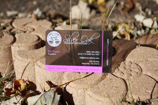 businesscards17