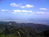 24a85564.jpg