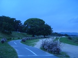 a06714d7.jpg