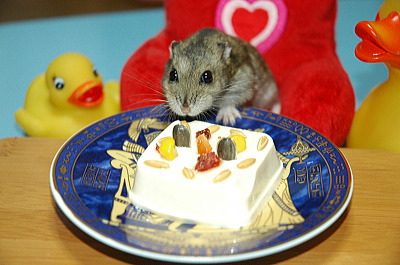おいちい!誕生日!