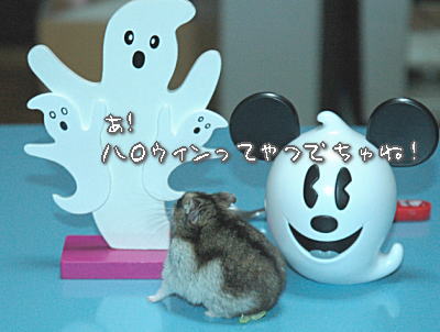 あ!ハロウィンだったでちゅね