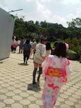 f24e1b90.jpg