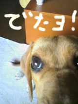 f9e23f1a.png